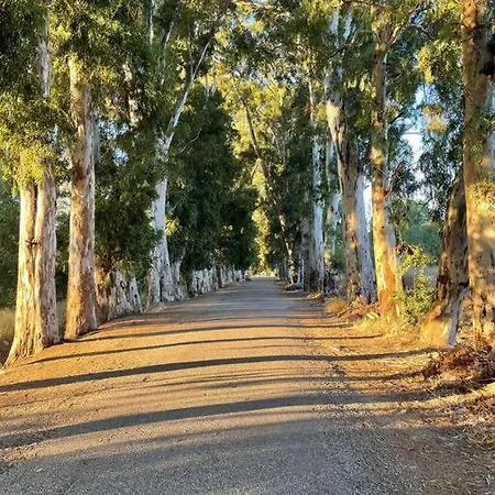 Villa Gemütliche Mit Pool, Extravagant, Luxuriös Ula
