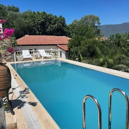 Villa Gemuetliche Mit Pool, Extravagant, Luxurioes *